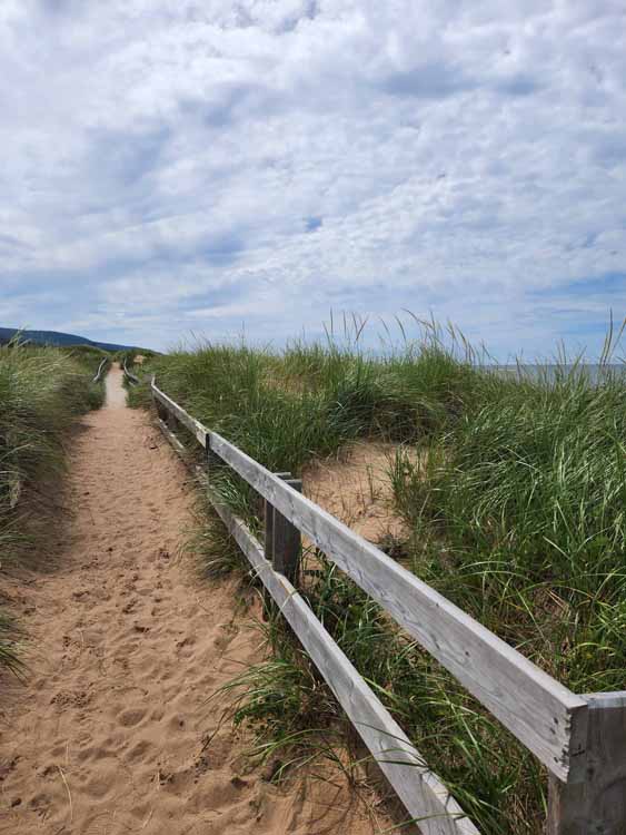 beach boardwalk